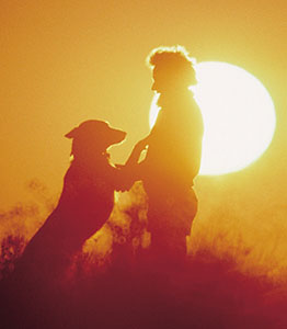 sun allan white cliffssm.jpg