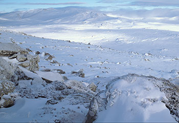 Mt Kosi Main Rangesm.jpg