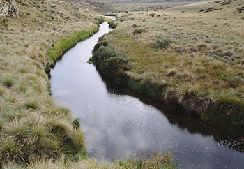 Murrumbidgee Riversm.jpg