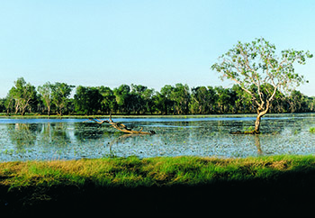 Sandy billabongsm.jpg